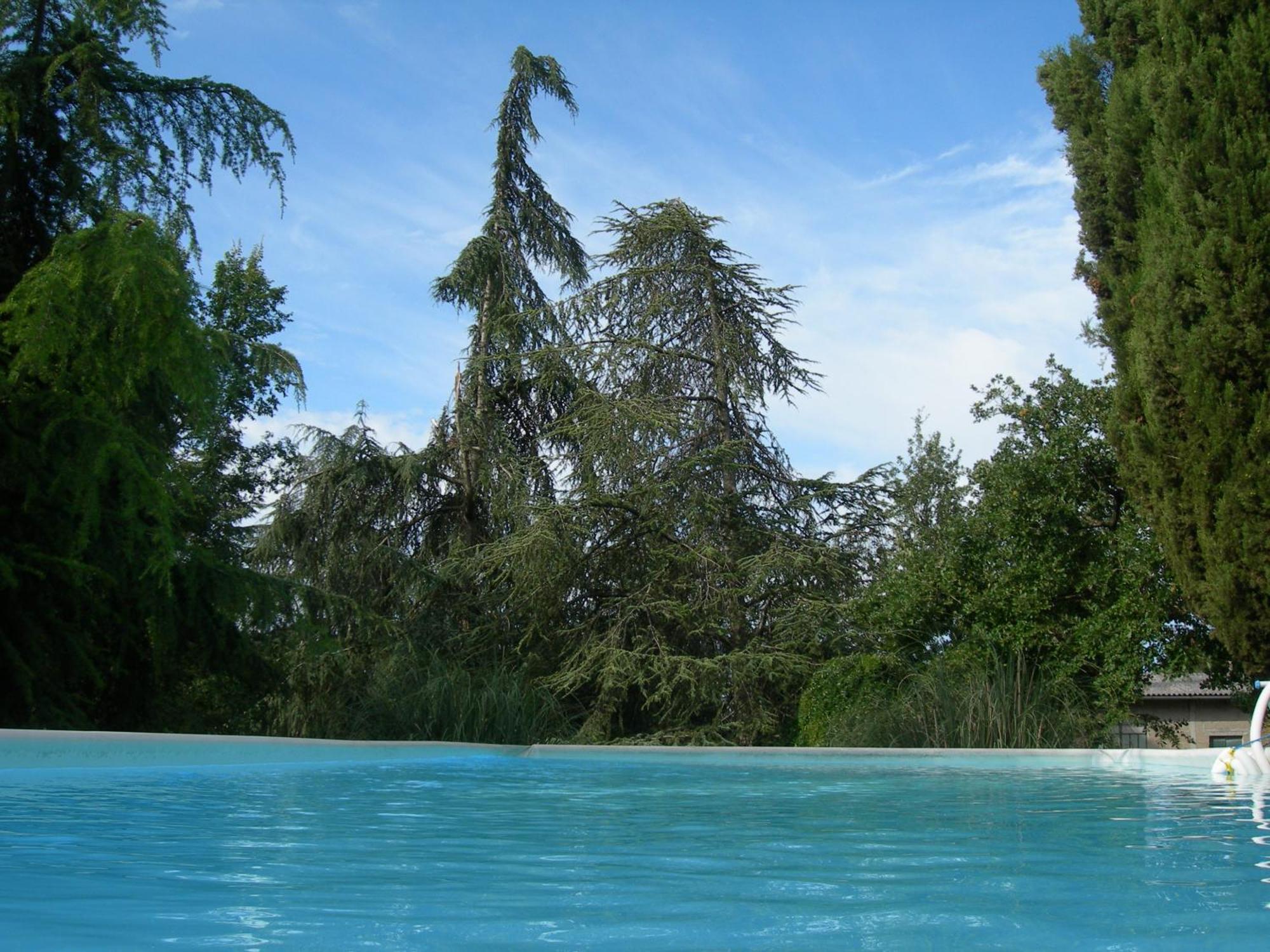 Villa Campo Di Fiore Arezzo Exterior foto